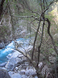 IMG_1210_r1.JPG