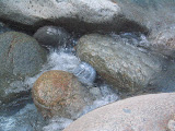 IMG_1245.JPG