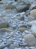 IMG_1250_r1.JPG