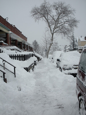 snowstorm 2010