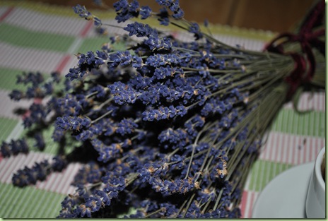 lavendel lavendel