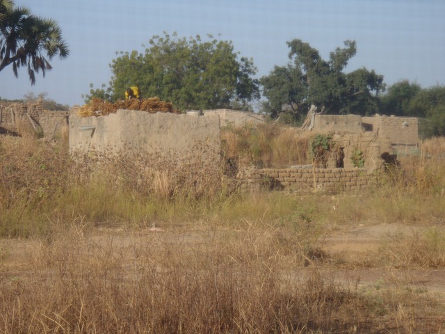 [PB2401202.jpg]