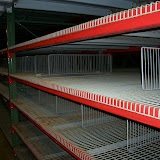 Used Wire Decking with Dividers