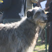 IMG_5613.JPG