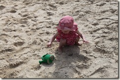 IMG_4856 IMG_4856