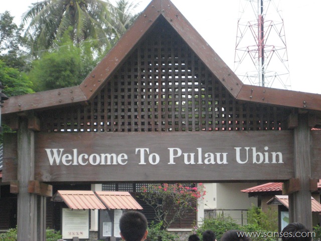 [IMG_43372.jpg]