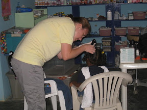 Beginning the search for lice.
