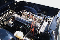IMAG0049.jpg