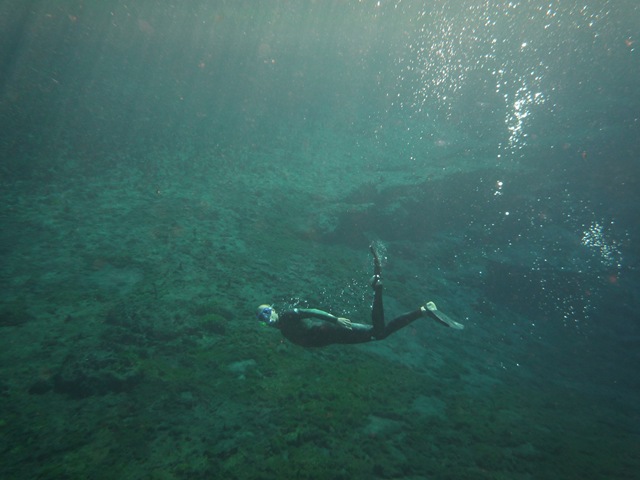 [P1080584[5].jpg]