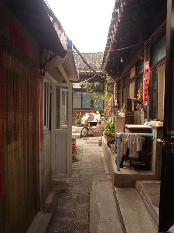 [P1050081[4].jpg]