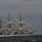 toute voiles dehors