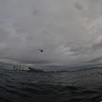 DSC_1292.jpg