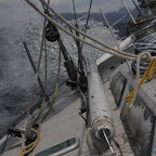 DSC_1986.jpg