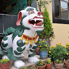 DSC_1271.jpg