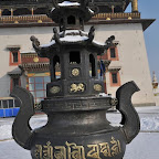 DSC_4683.jpg