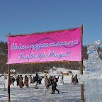 DSC_4763.jpg
