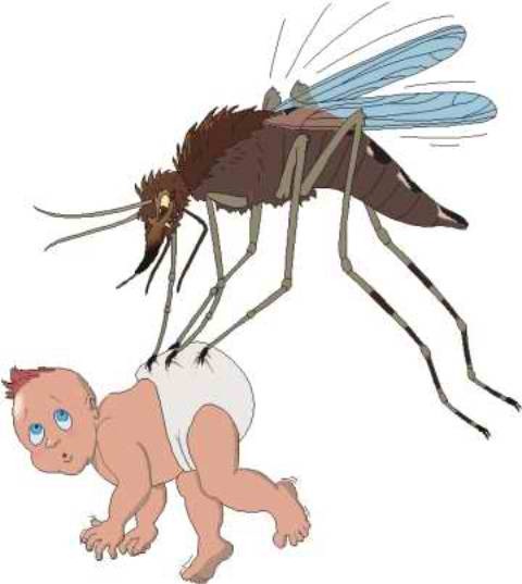 [mosquito-baby8.jpg]