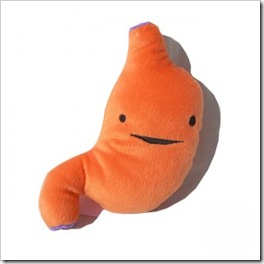 estomago estomago