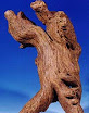 Agarwood = Trầm hương (or Kỳ nam)
