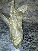 Agarwood = Trầm hương (or Kỳ nam)