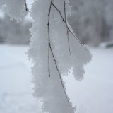 IMG_8855.jpg