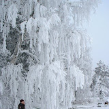 IMG_8854.jpg