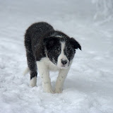 IMG_8874.jpg
