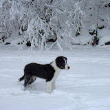 IMG_8875.jpg