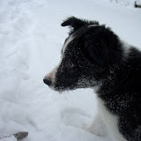 IMG_8890.jpg