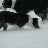 IMG_8895.JPG