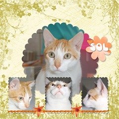 Pritty_LoveSpring_1