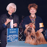 Toni (January 1997)