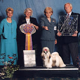 Muffin (June 2000)