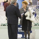 Progressive Dog Club of Wayne County, January 21, 2007