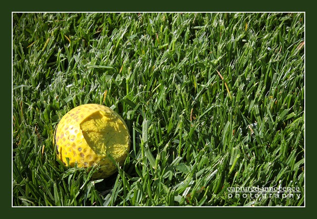 [golf ball[4].jpg]