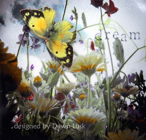 [Dream butterfly full closeup[4].jpg]