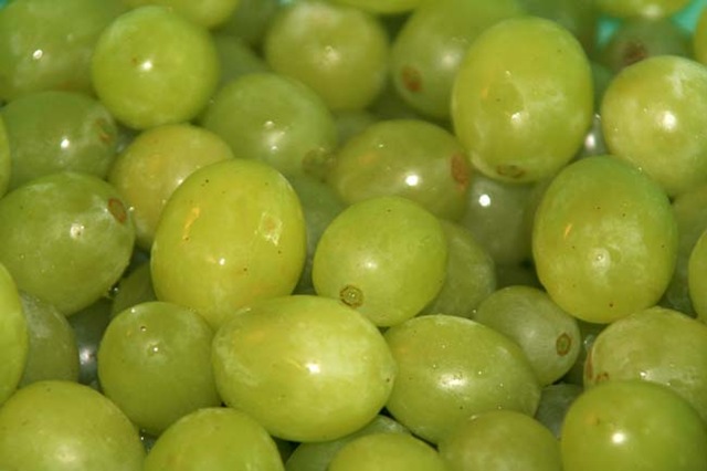 [Frosted Grapes 1[7].jpg]