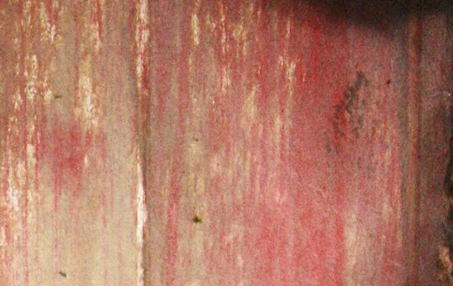 [siding 1[4].jpg]