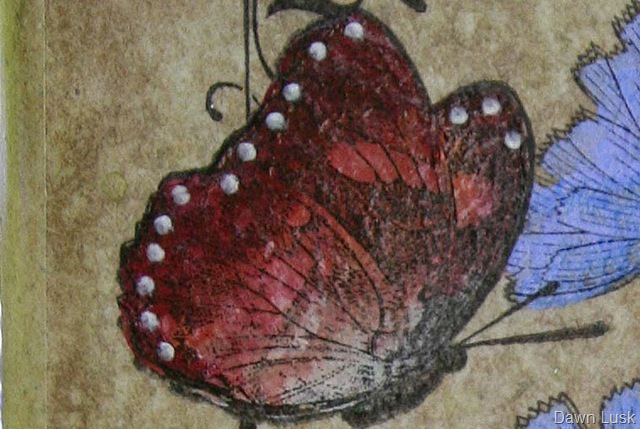 [Don'tWorry tile butterfly[9].jpg]