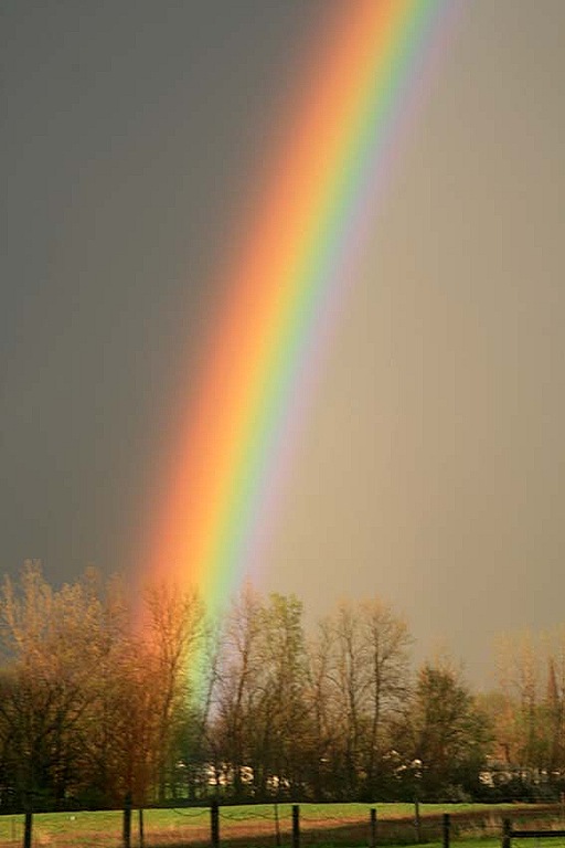 [Rainbow4[7].jpg]