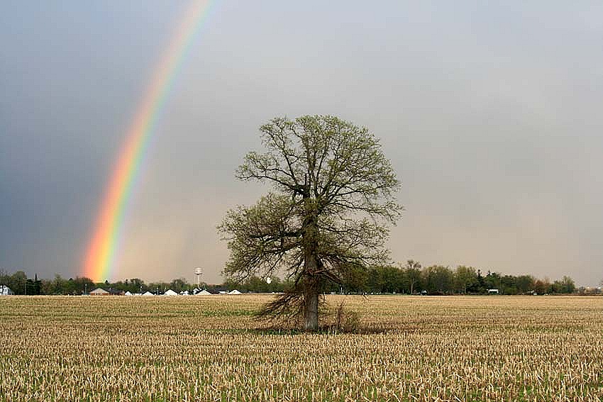 [Rainbow5[6].jpg]