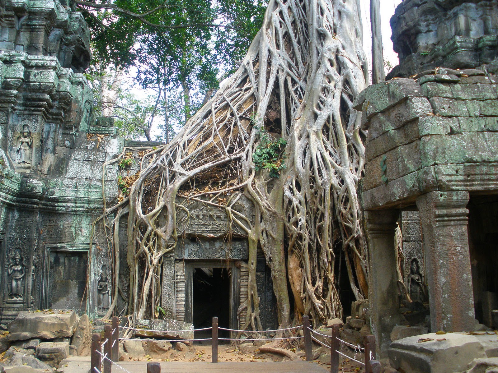 [Angkor temples Ta Phrom[5].jpg]