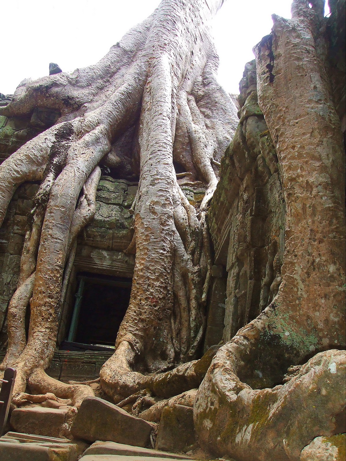 [Ta Phrom Angkor temple[6].jpg]