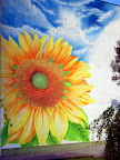 Grafiti Slideshow