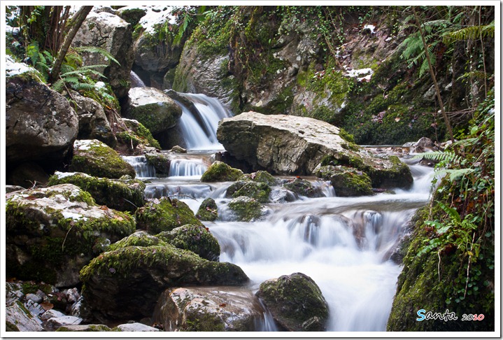 _MG_0389 _MG_0389