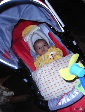 RIMG0239 RIMG0239