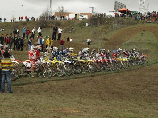 Vista Previa del Art�culo
