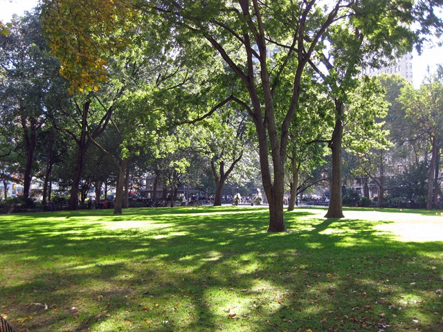 [NYC 2010 016 2[3].jpg]