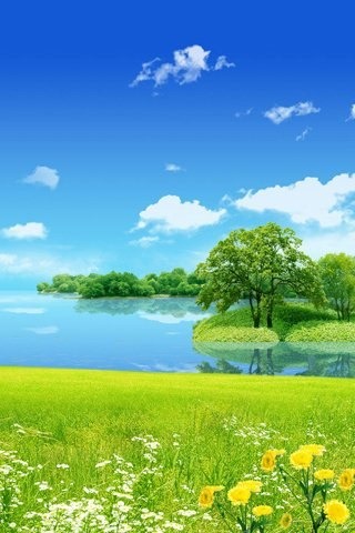 [high-quality-wallpapers[6].jpg]