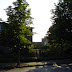 DSC00598.JPG